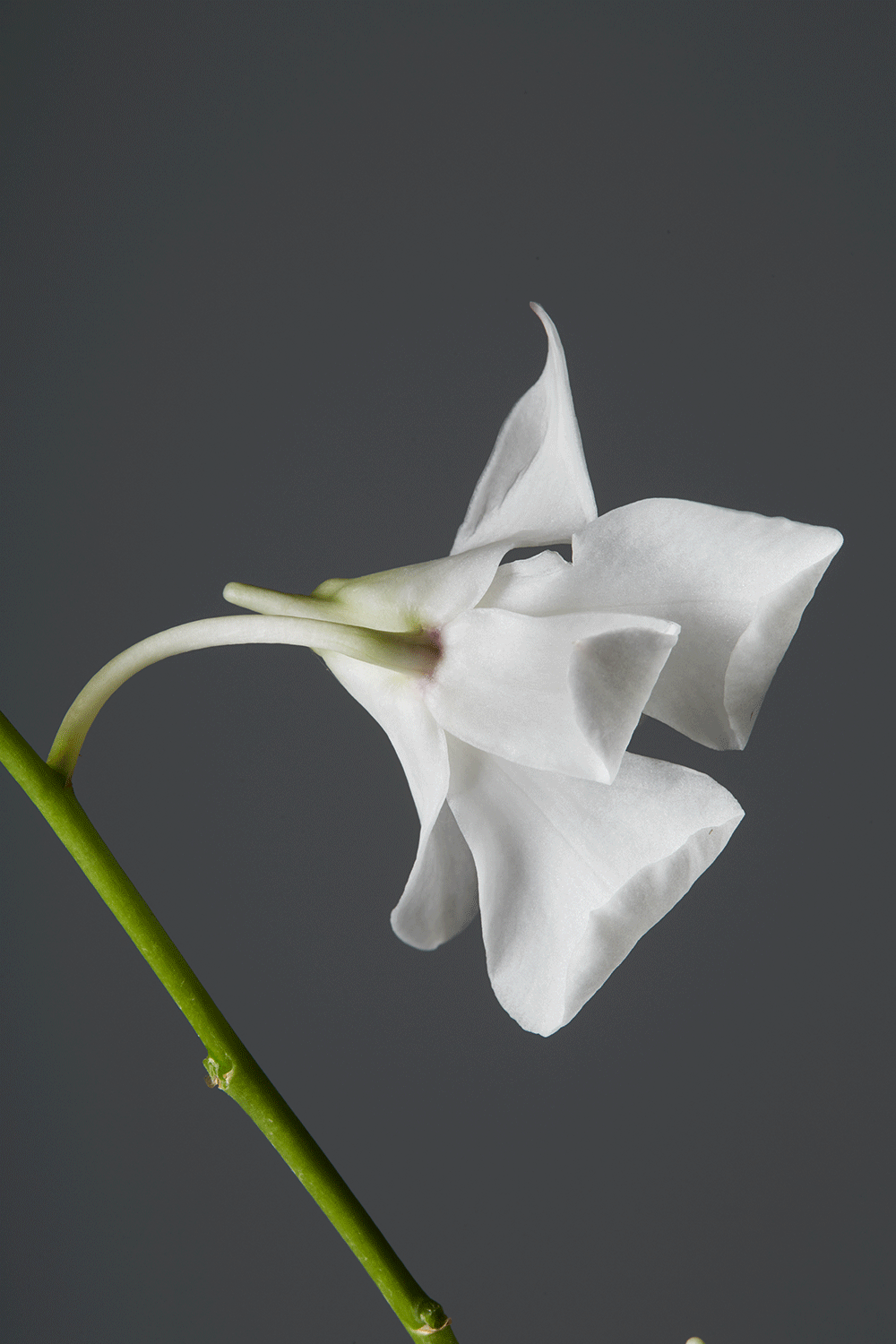 #高恩广告#妆容片