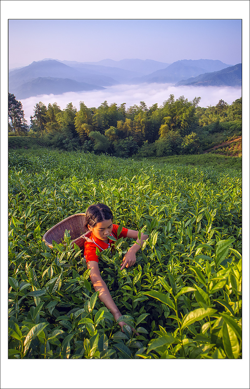 赤水风光（图ZNTg3ODgyNDQ=） - 风光摄影 - 站酷设计师雨萌1994原创素材 - 站酷ZCOOL