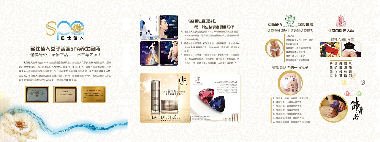 名仕佳人折页+海报