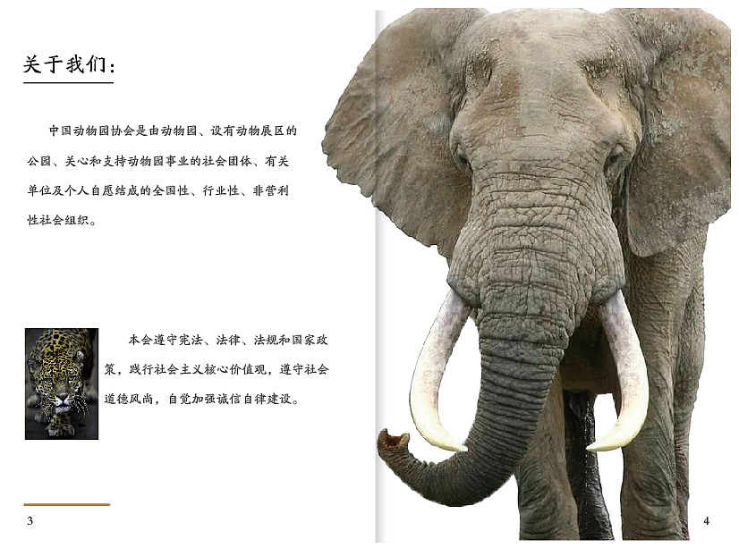 画册（图ZMTgwMTU3MzY0） - 书籍/画册 - 站酷设计师cl青晓原创素材 - 站酷ZCOOL