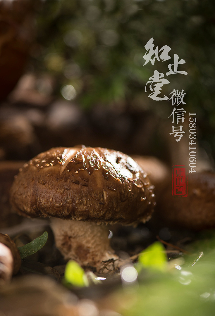 太原美食摄影电商食品拍照外卖菜品拍摄菜谱设计制作（图ZMTE1MDQ2NjUy） - 产品摄影 - 站酷设计师知止堂原创素材 - 站酷ZCOOL