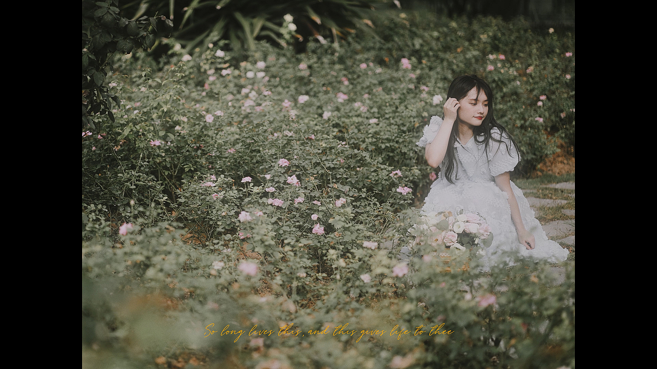 《Sonnet 18》法式复古少女丨玫瑰庄园 人像摄影
