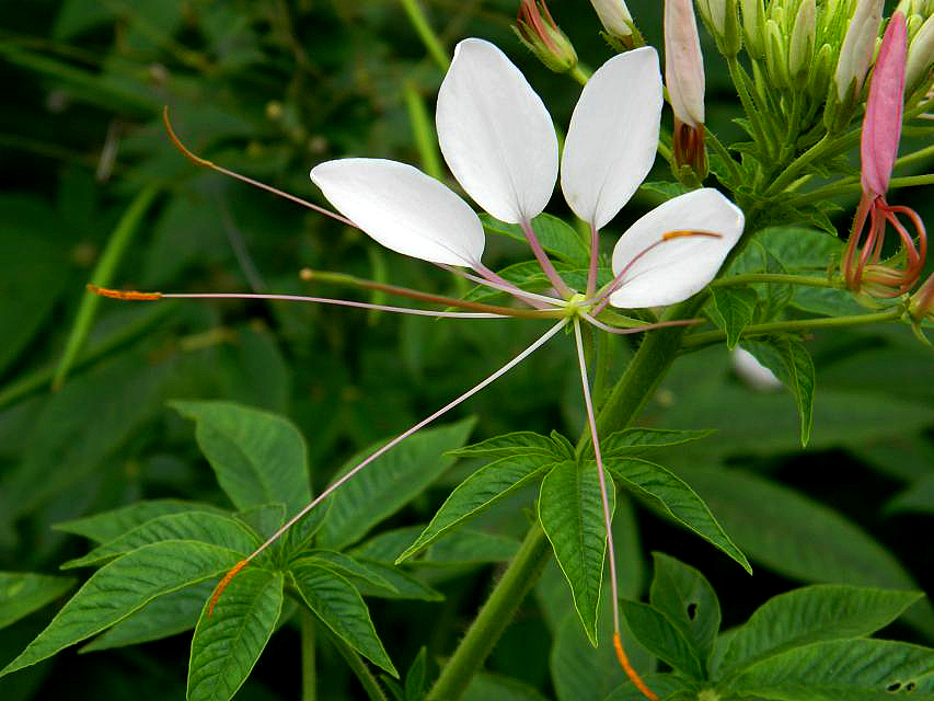 秋季国际慢城乡野风情（图ZMTk1Mjk5MDQ=） - 风光摄影 - 站酷设计师zhangping_3636原创素材 - 站酷ZCOOL