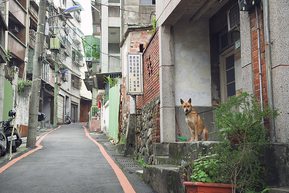 感受臺灣的慢生活（圖ZMTUxMTAxNDQ=） - 風光攝影 - 站酷設計師248823244原創(chuàng)素材 - 站酷ZCOOL
