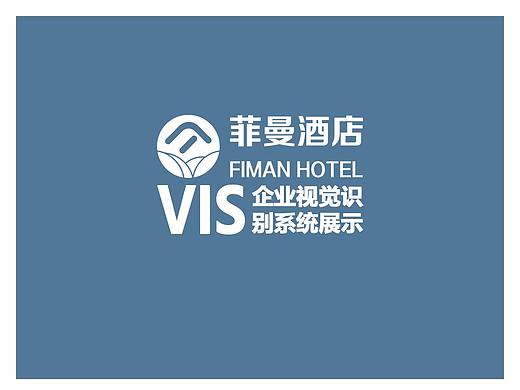 VIS视觉识别系统