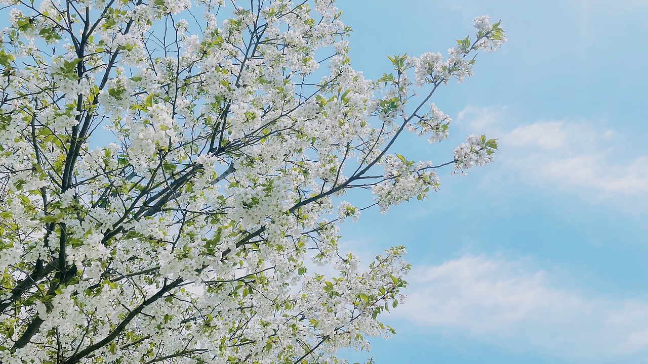 春·尾（图ZMjk3NjE3NzQ4） - 风光摄影 - 站酷设计师设计狮摄影狮原创素材 - 站酷ZCOOL