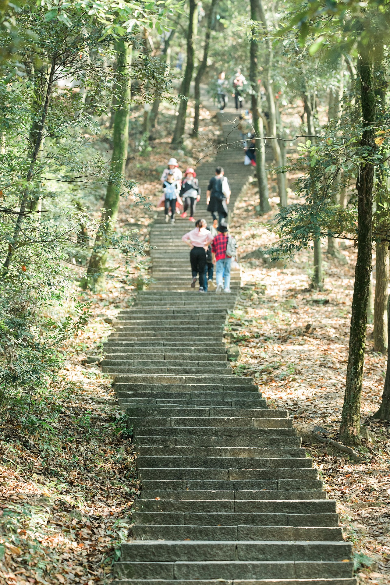 从十里琅珰到云栖竹径