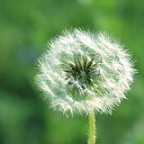 仰天大笑出门去3的头像
