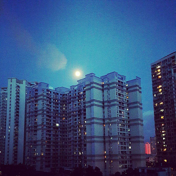 2014年上半年【instagram生活随手拍记录】