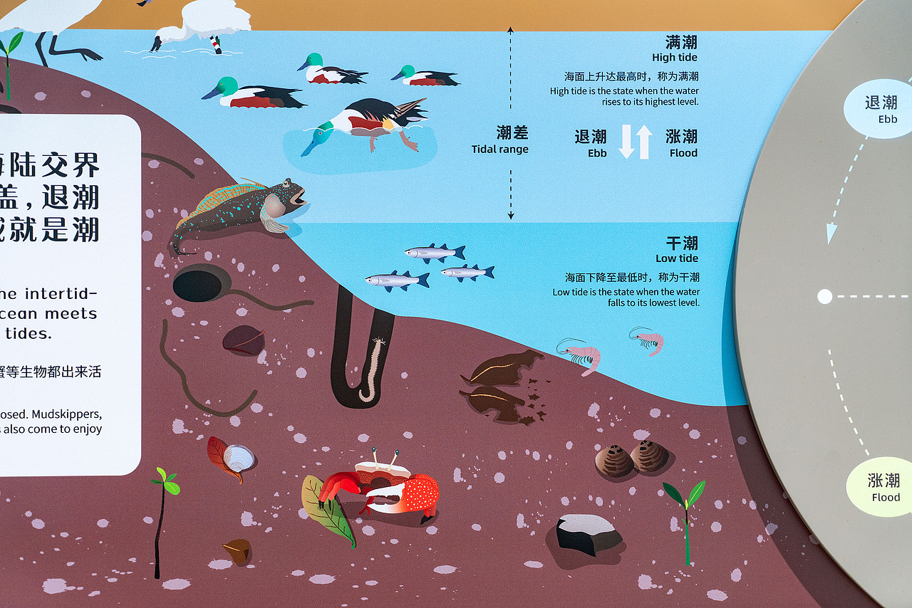 深圳湾公园湿地主题解说牌