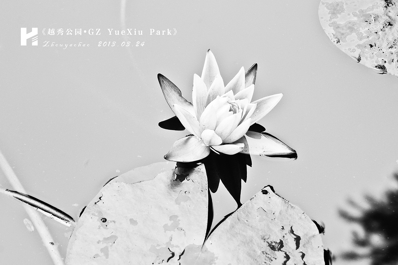 越秀公园.GZ YueXiu Park（图ZODc3MzQ1Ng==） - 风光摄影 - 站酷设计师haodychou原创素材 - 站酷ZCOOL