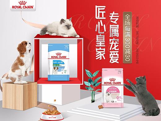 皇家38节 电商宠物类页面  宠物食品 猫粮狗粮