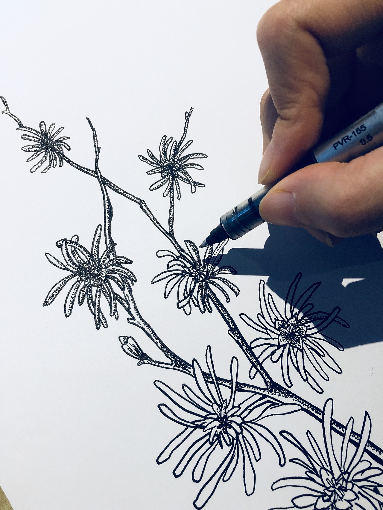 秘氏化妆品包装设计（图ZMTM2MTI2MDgw） - 包装 - 站酷设计师一面静子原创素材 - 站酷ZCOOL