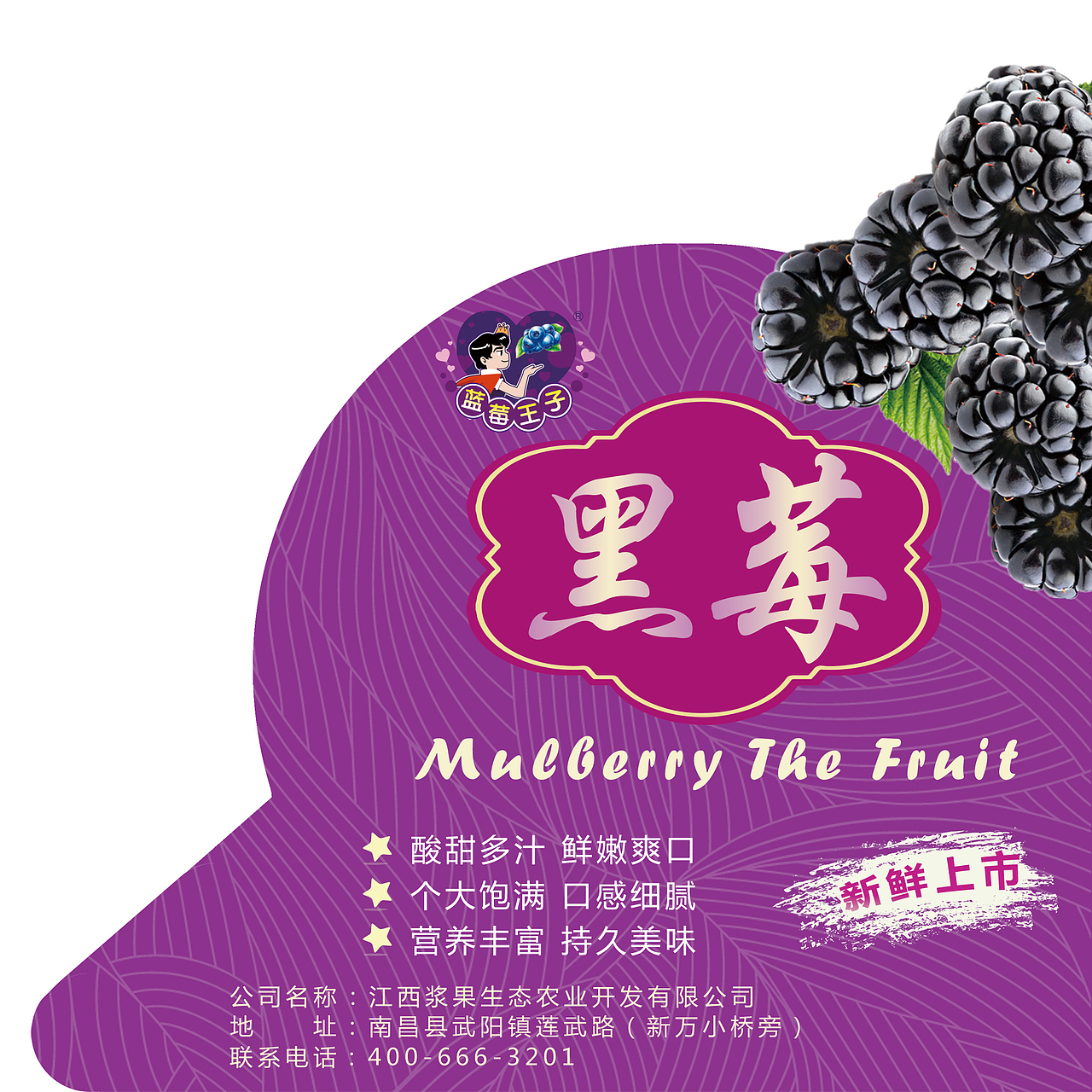 桑椹包装盒标贴设计