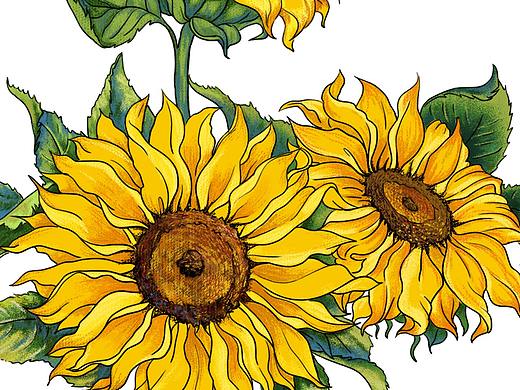 向日葵（个人主页-ZNDgwNzY0MDA=） - 商业插画 - 站酷设计师超级航航原创素材 - 站酷ZCOOL