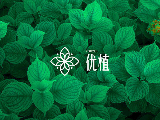 优植（绿植品牌）