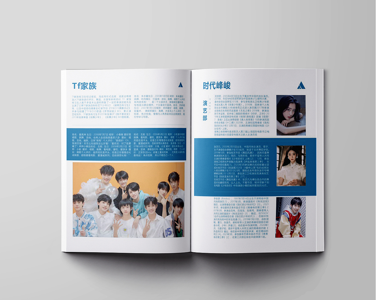 画 册- 宣 传 册 - 手 册（图ZMjk4NzE3NDI0） - 其他 - 站酷设计师布兰杜斯Brandus原创素材 - 站酷ZCOOL