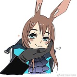 茶白猫的头像