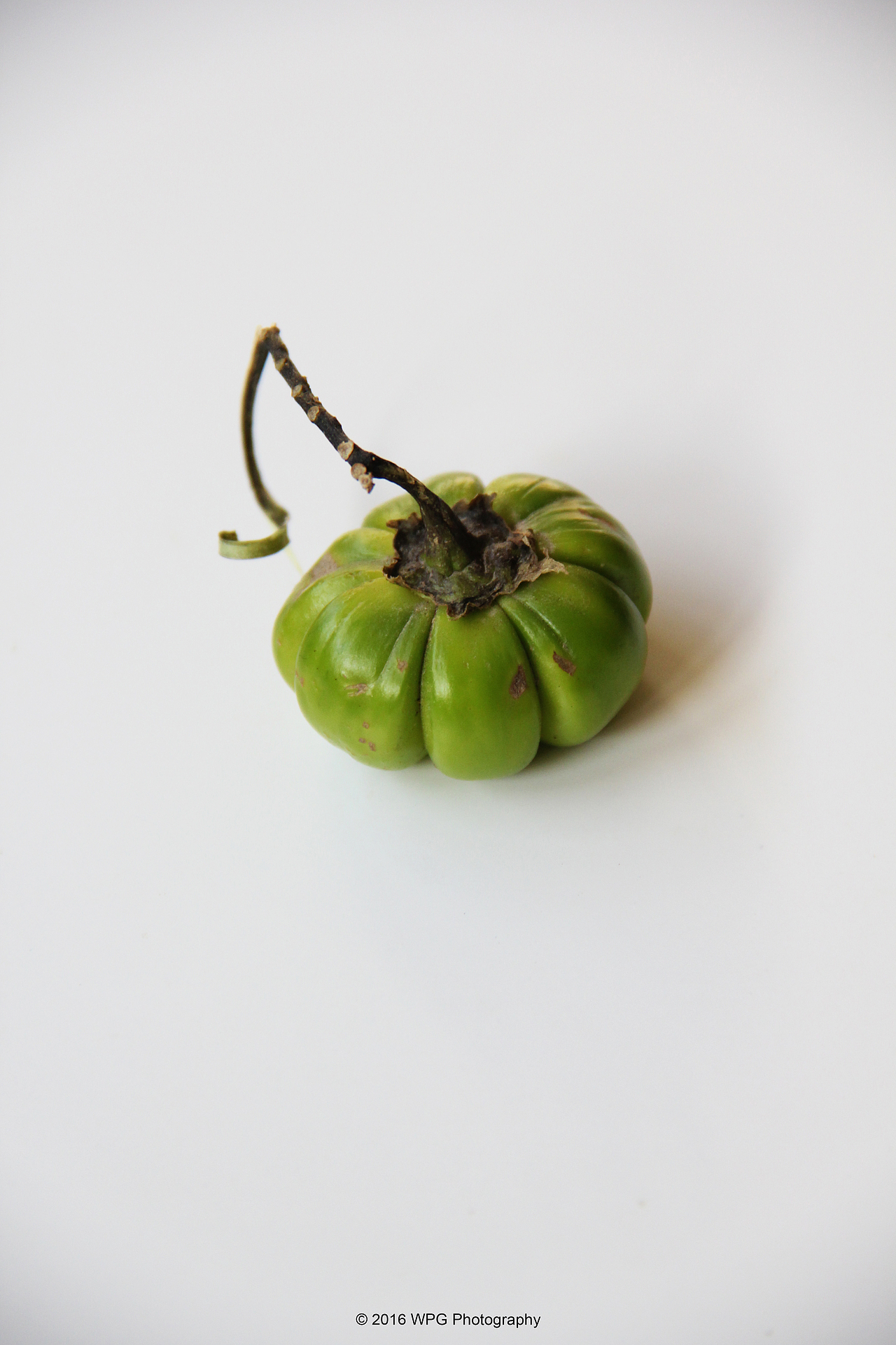 《 茄子南瓜心 》