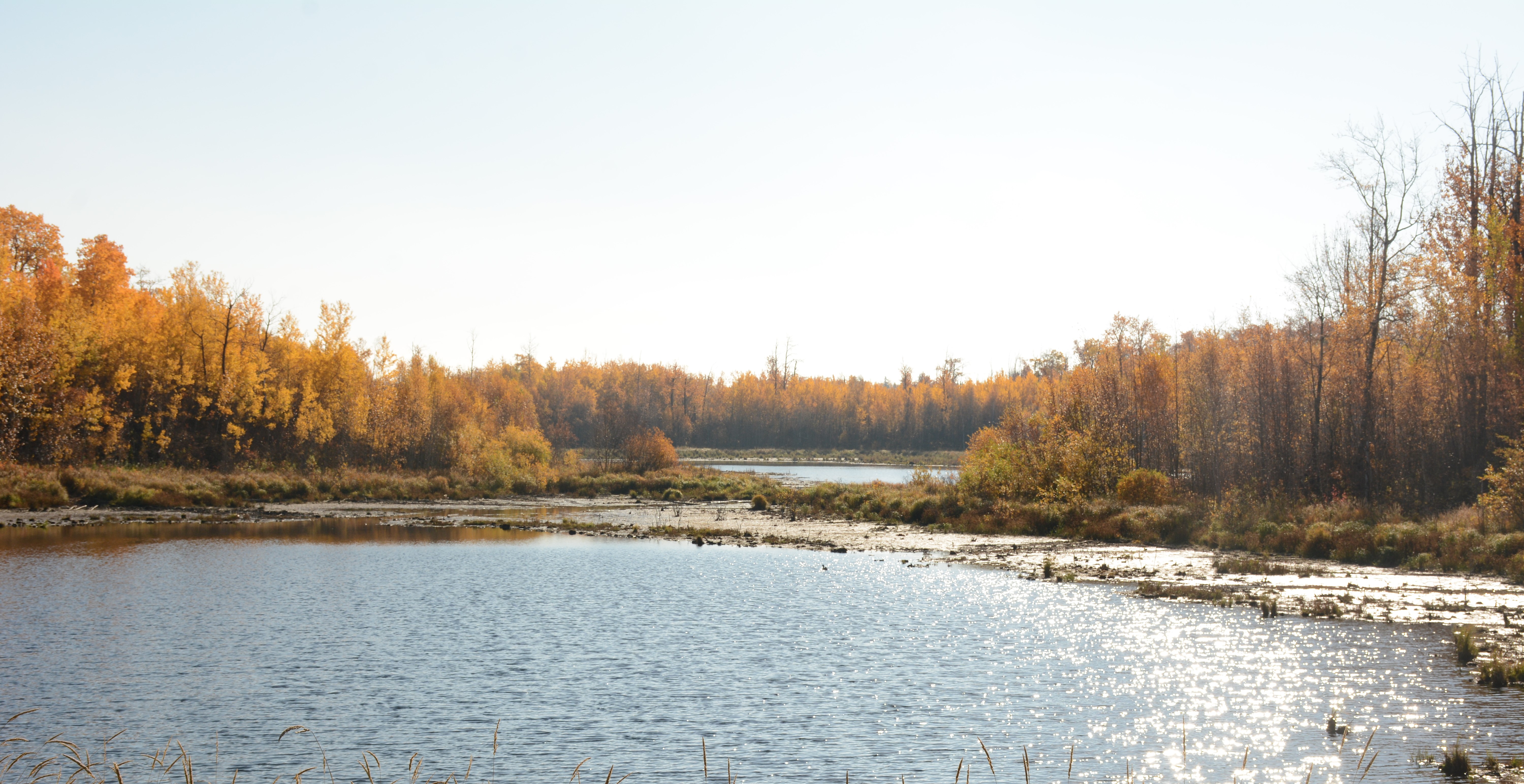 畫室的耗耗的個人主頁（封面預(yù)覽） - 主頁封面設(shè)置 - 站酷設(shè)計(jì)師畫室的耗耗原創(chuàng)素材 - 站酷ZCOOL