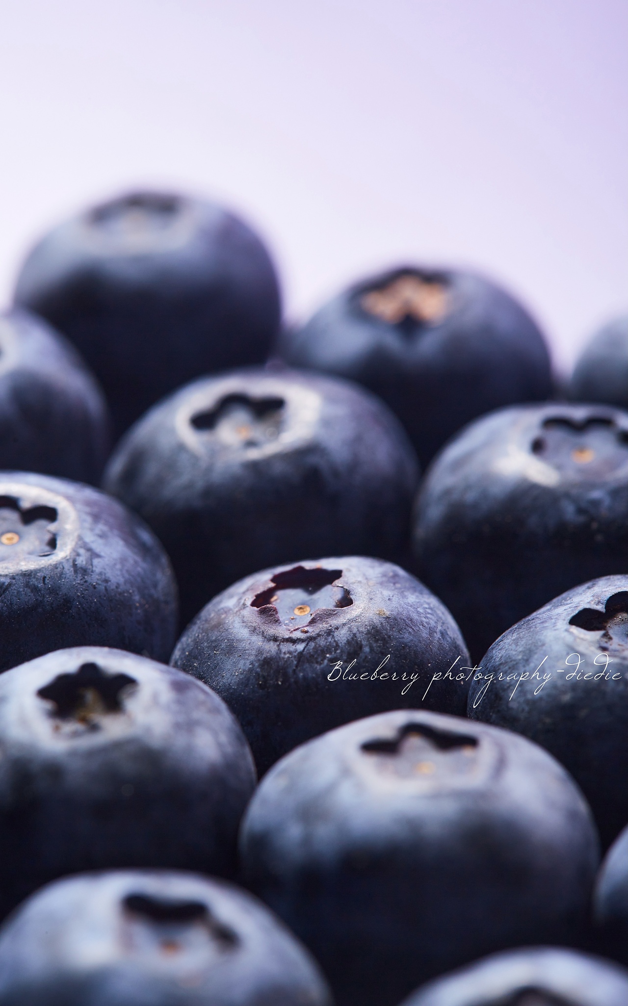 08|blueberry photography |摄影|美食摄影|yahancao - 原创作品