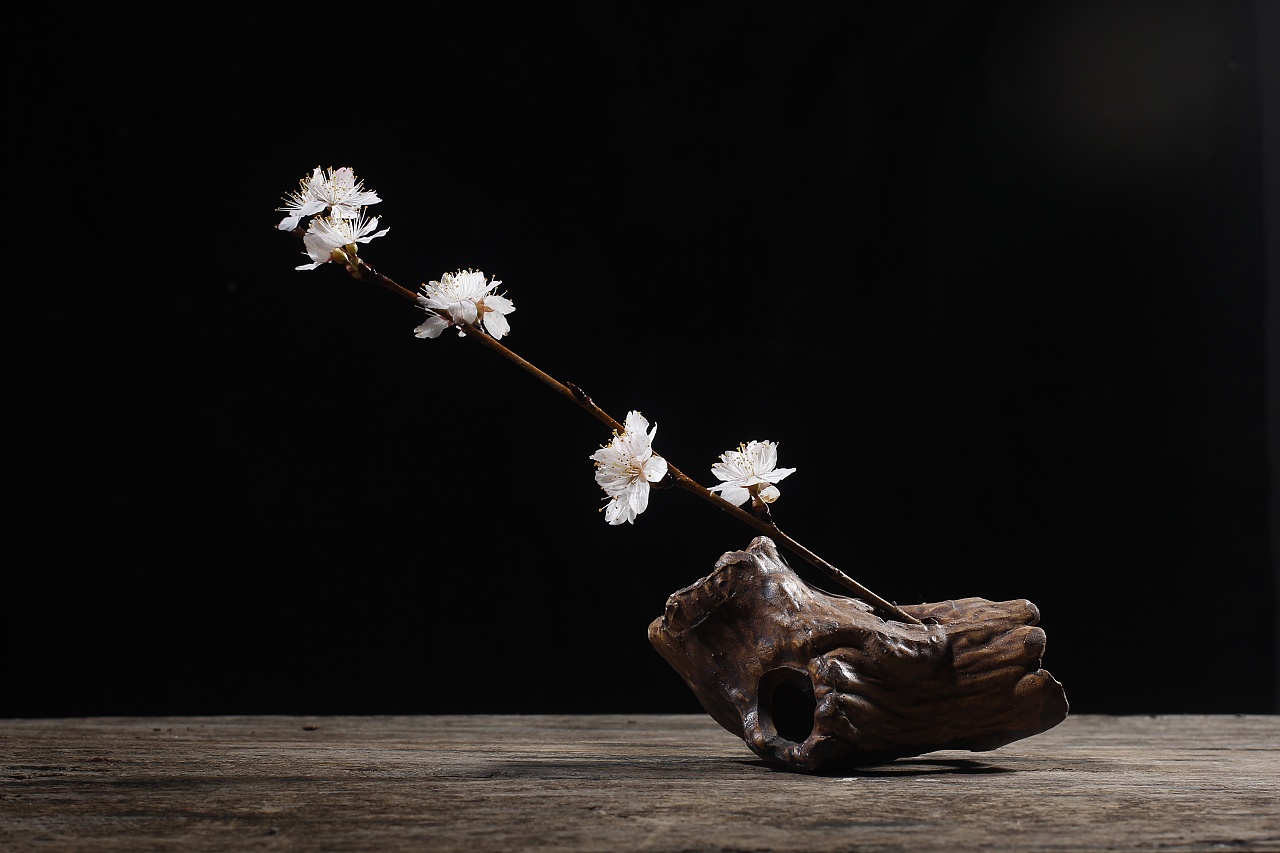 梅花|摄影|静物|桃子视觉 - 原创作品 - 站酷 (zcool)