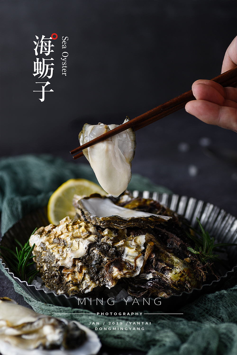 海蛎子/生蚝拍摄