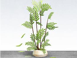 植物插画