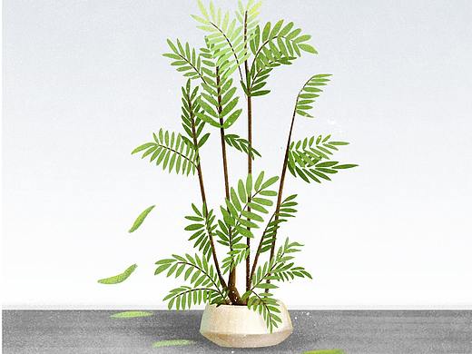 植物插画(个人主页-ZMzk0ODAzOTY=) - 艺术插画 - 站酷设计师咕噜辛原创素材 - 站酷ZCOOL