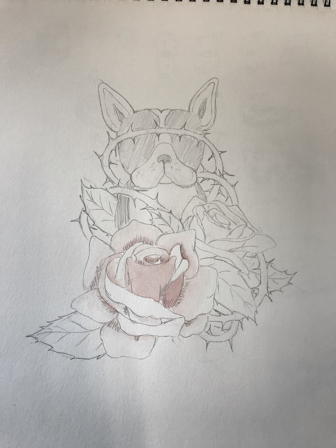 狗狗七宗罪--水彩咖啡包装插画（图ZMTA5NDY3NDAw） - 商业插画 - 站酷设计师RarePei原创素材 - 站酷ZCOOL