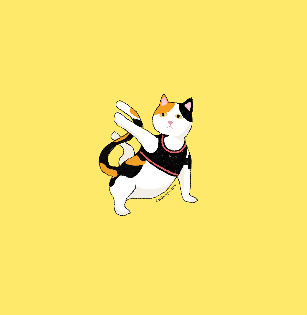 瑜伽猫咪 animal’s yoga