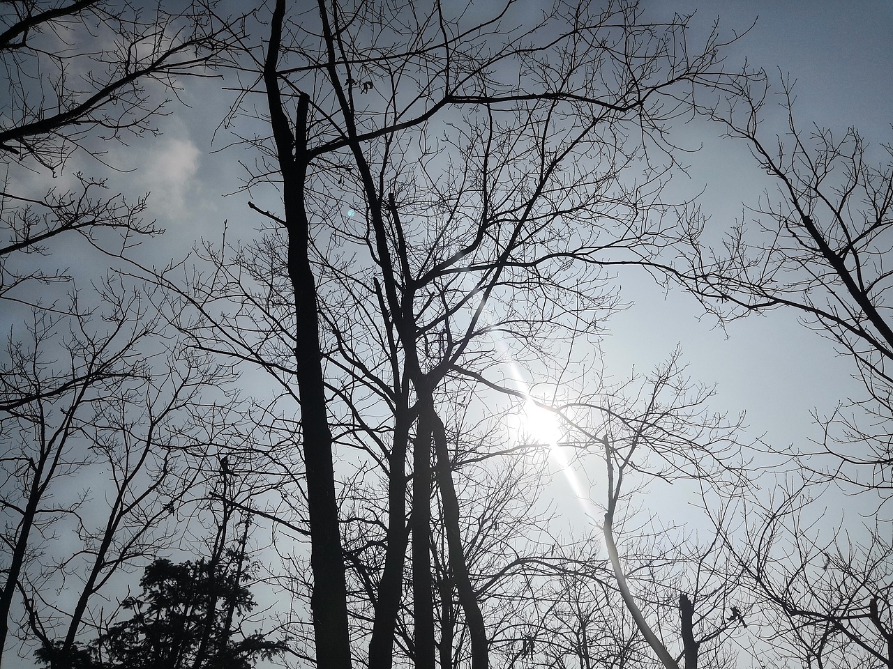 都是用手机拍的喜欢就关注一下吧嘻嘻