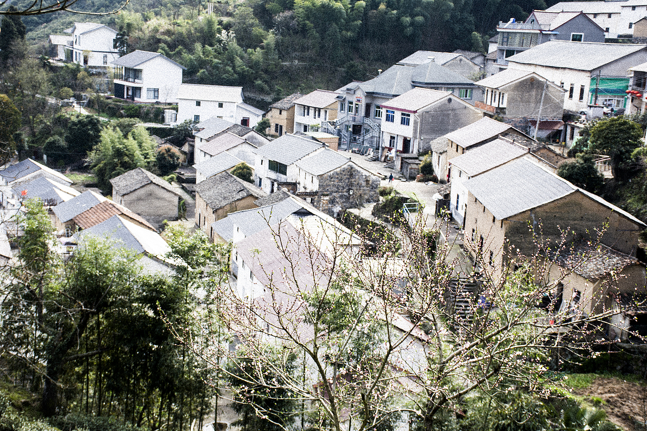 田间楚楚泛金光（图ZMTUxMDg3NDQw） - 风光摄影 - 站酷设计师M_巧克力派原创素材 - 站酷ZCOOL