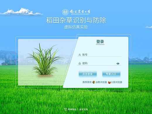 杂草识别虚拟仿真实验