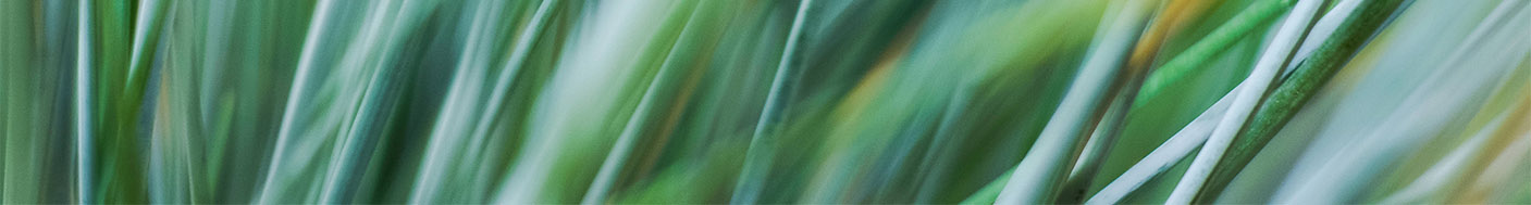 memory_赵的个人主页（封面预览） - 主页封面设置 - 站酷设计师memory_赵原创素材 - 站酷ZCOOL