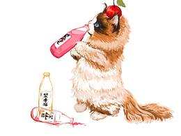 猫咪
