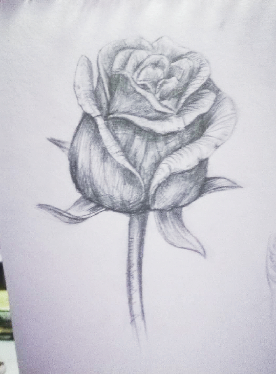 來(lái)自貓頭鷹老師的凝視（圖ZMTAxMDIxODE2） - 藝術(shù)插畫 - 站酷設(shè)計(jì)師生如夏花10原創(chuàng)素材 - 站酷ZCOOL