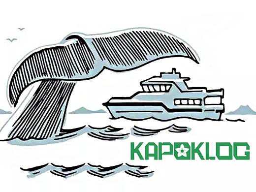 深圳市盛顺物流吉祥物设计方案 Kapoklog Logistics M