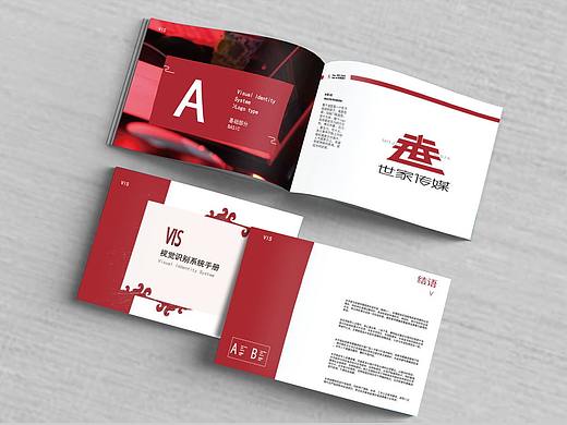 VIS视觉识别手册