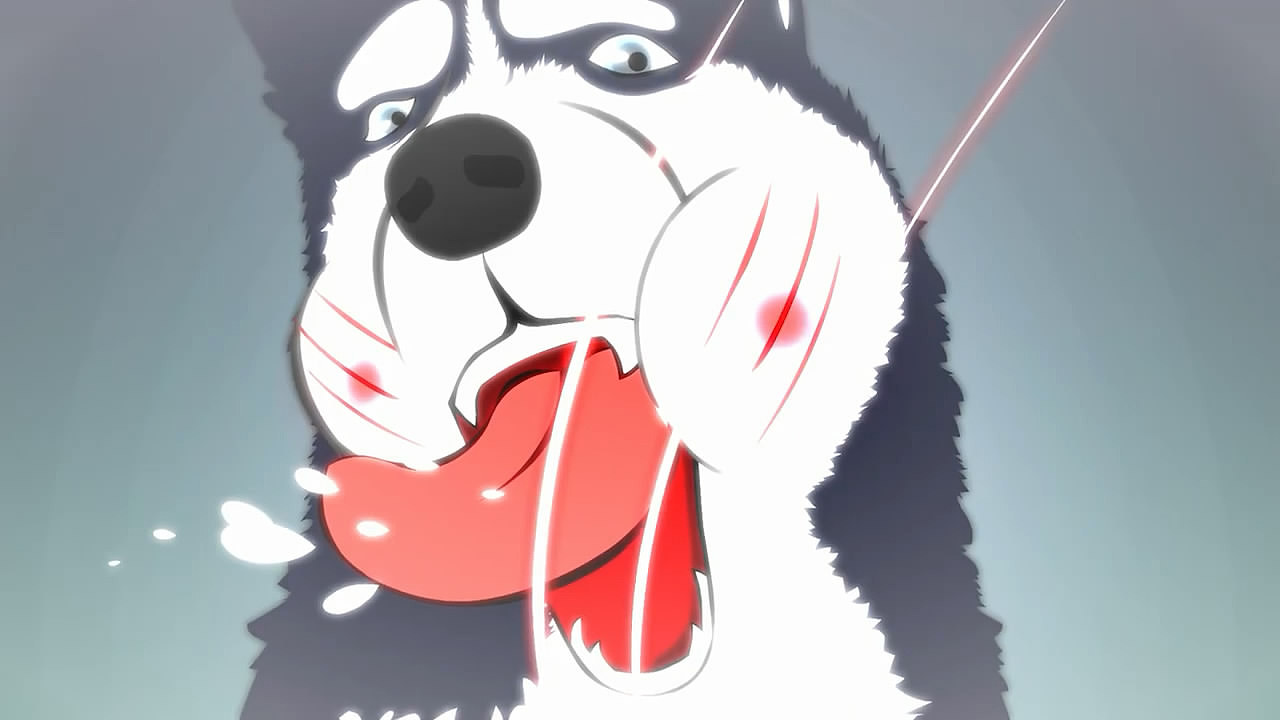 系列短片动画-撒哈拉(雪橇三傻)