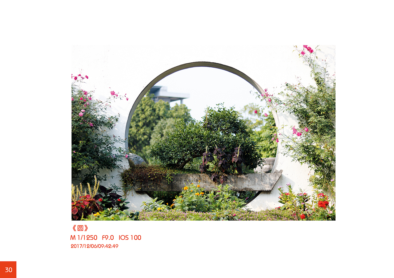 摄影课作业集（图ZMzE0Njg4NTYw） - 风光摄影 - 站酷设计师Maxyang1900原创素材 - 站酷ZCOOL