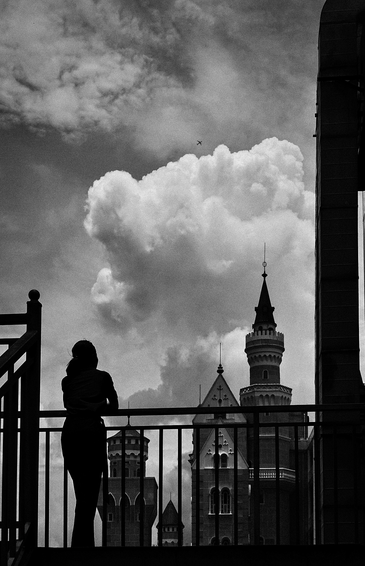 把背影纪实瞬间拼成一幅画