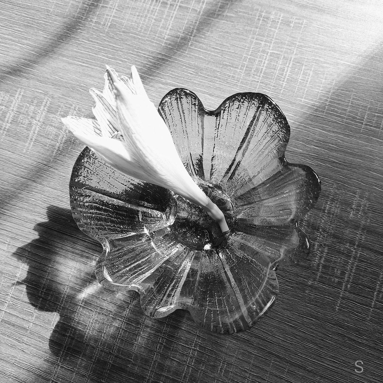 光线沉迷所有的色彩……!