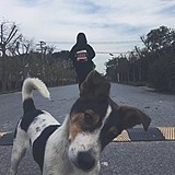 xyz_c的头像