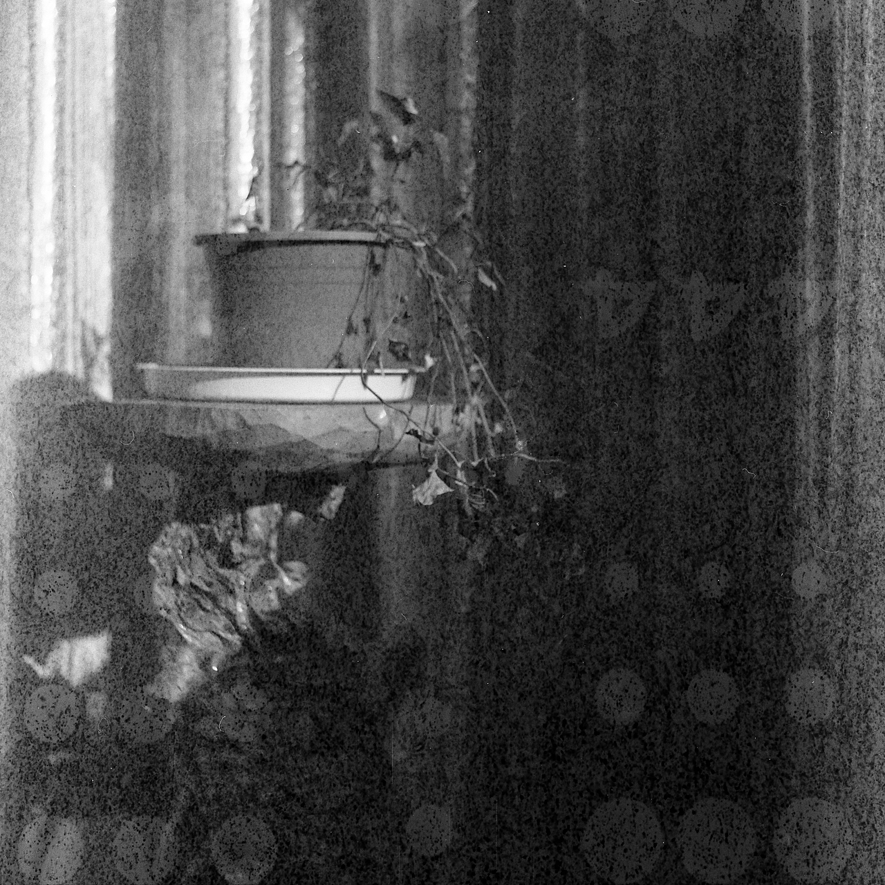 迫不及待的又来了卷120,越来越喜欢了。还是过期卷继续练手。