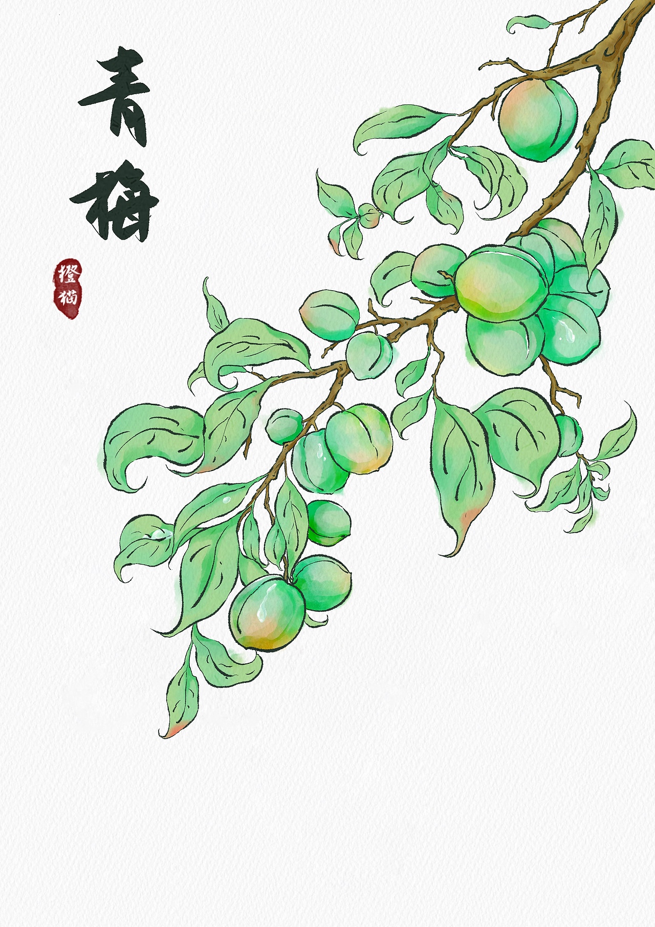 水彩风——四月青梅