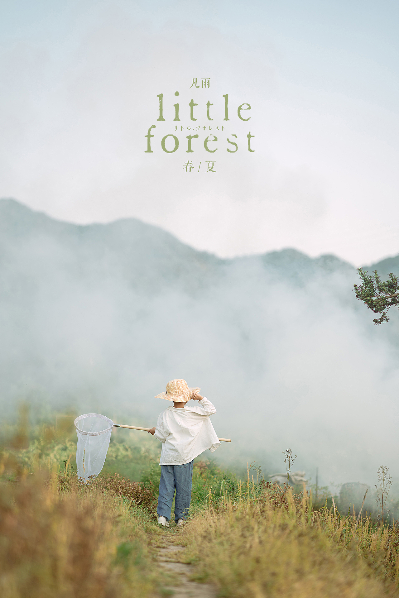 男孩纸的小森林