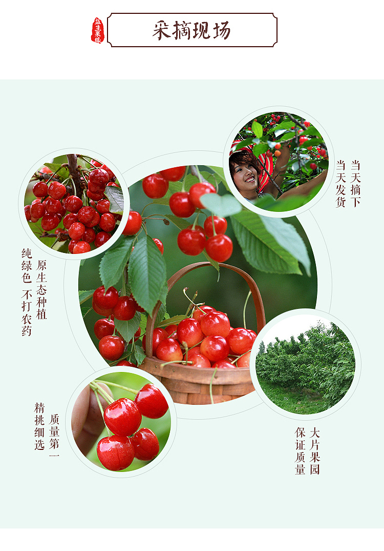 水果详情页