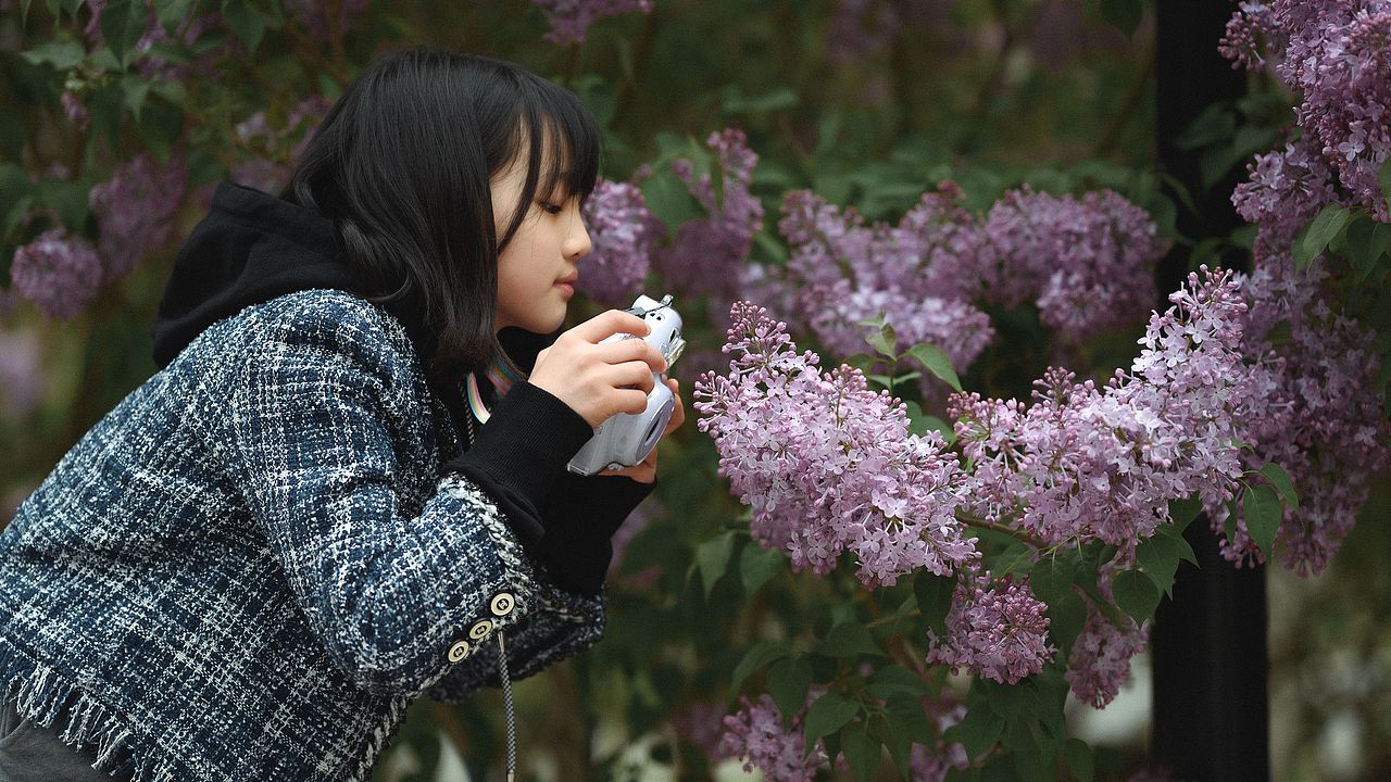 去年今日此门中，人面桃花相映红。（图ZMjUwNTU3MTE2） - 人像摄影 - 站酷设计师RGBorCMYK原创素材 - 站酷ZCOOL