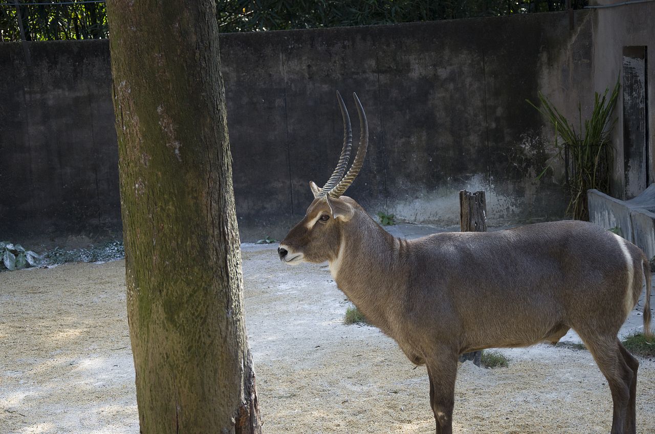 10.16广州行（图ZNjE3Njk1MDA=） - 风光摄影 - 站酷设计师袁勇的作品合集原创素材 - 站酷ZCOOL
